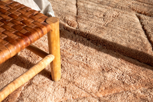 Comment nettoyer un tapis à poils longs ? - Blog Tapis-Chic